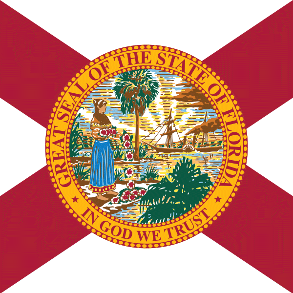 Florida Sweatshirts Florida Hoodies & Apparel Vacation Souvenirs & Gifts