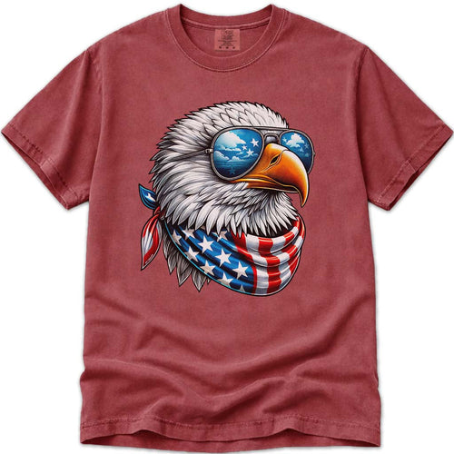 Cool USA Flag American Eagle 4th Of July T Shirt