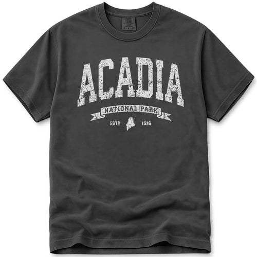 Distressed Vintage Acadia National Park Maine T Shirt
