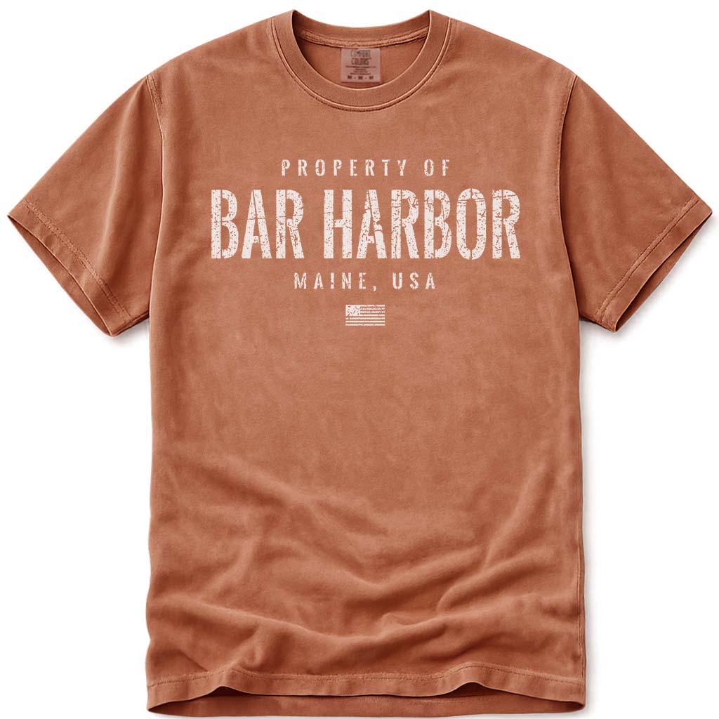 Distressed Vintage Property of Bar Harbor ME T Shirt - Yam
