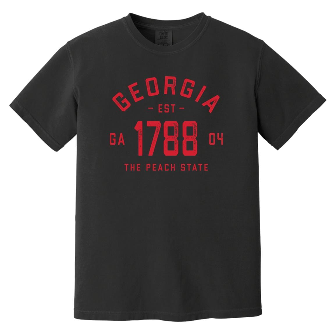 Vintage Georgia T-Shirt - 1788 GA Comfort Colors Tee