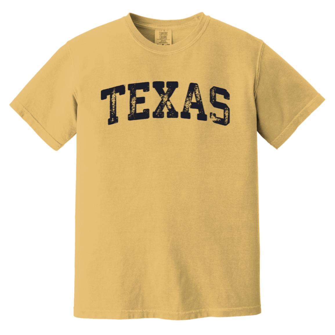Vintage Comfort Colors Texas Shirt