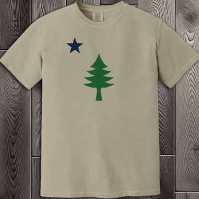 Maine 1901 Flag Tree & Star Oversized T-Shirt