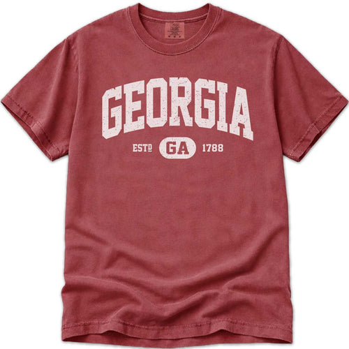 State of Georgia T Shirt GA Comfort Colors Tee