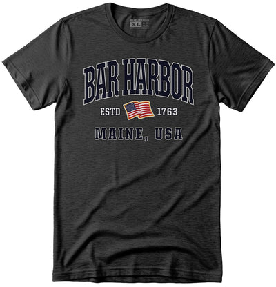 USA Flag Patriotic Bar Harbor T-Shirt