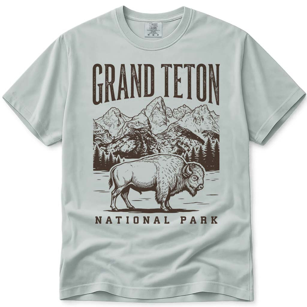 Vintage Bison Grand Teton National Park T Shirt - Bay
