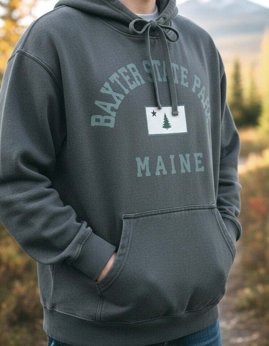 Baxter State Park Hoodie Lifestyle Male