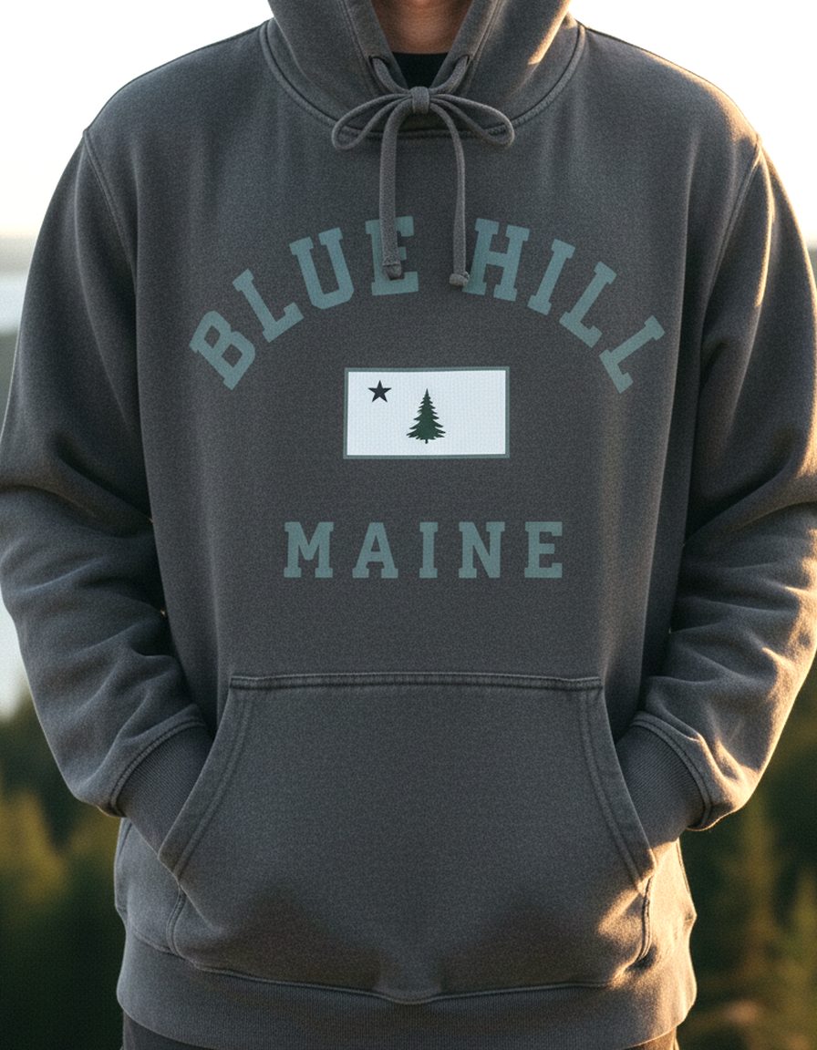 Blue Hill Hoodie Lifestyle Male